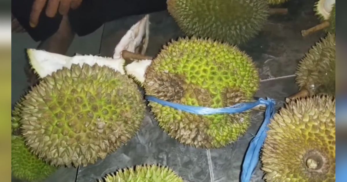 Istimewanya Durian Si Layung, Manis Legit dari Tasikmalaya yang Bikin Penikmatnya Terlena