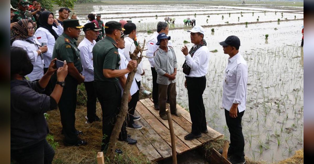 Amran Sulaiman: Pompanisasi Tingkatkan Produksi Beras Jateng 1,2 Juta Ton