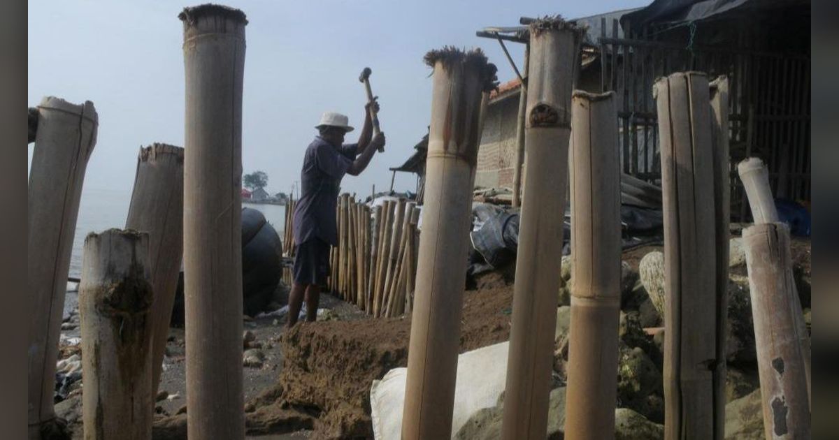 FOTO: Potret Pilu Korban Abrasi Laut: Kakek 80 Tahun Nekat Pertahankan Rumah dengan Harapan Bambu Dapat Menghalau Ombak Ganas Karawang