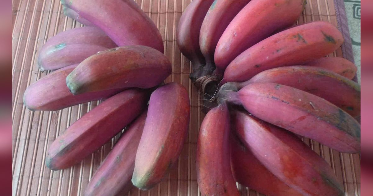 5 Mitos Pisang Merah di Indonesia, Bisa Jadi Pertanda Baik dan Buruk