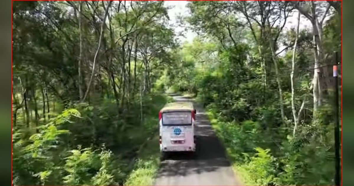 Serunya Naik Bus Sekolah di Wonogiri, Antar Jemput Siswa hingga Tengah Hutan dan Pelosok Desa