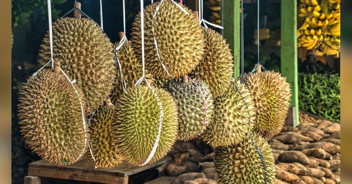 Tak Ingin Bergantung Impor, China Bakal Tanam Durian Sendiri