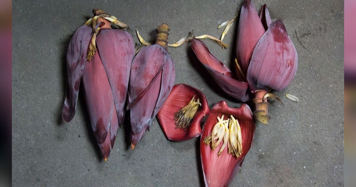 Mitos Makan Jantung Pisang, Perlindungan Sihir hingga Badai