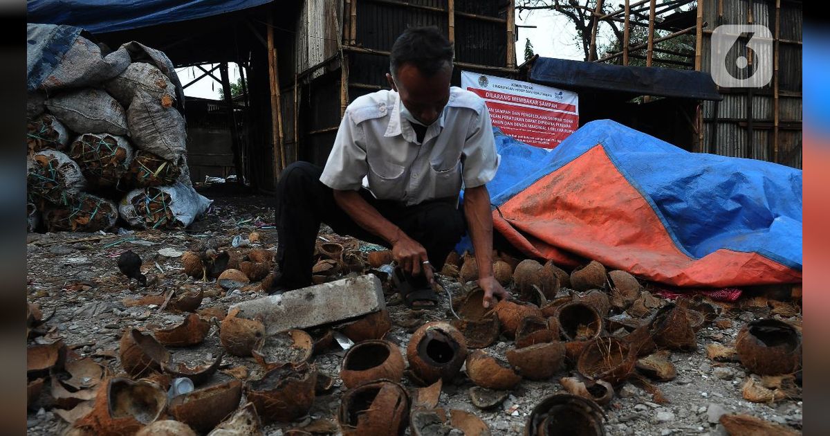 Pabrik Arang Batok Kelapa di Jaktim yang Disegel Bisnis Turun Temurun, Sudah Eksis Lebih dari 40 Tahun