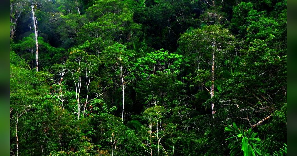 Menuju Indonesia Emas, Masih Ada Kampung di Ponorogo Hidup Tanpa Listrik Seperti Zaman Dulu