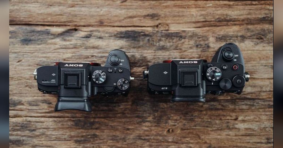 Tips Memilih Kamera Mirrorless Terbaik bagi Pemula,: Pertimbangkan Risiko Ini Terlebih Dahulu