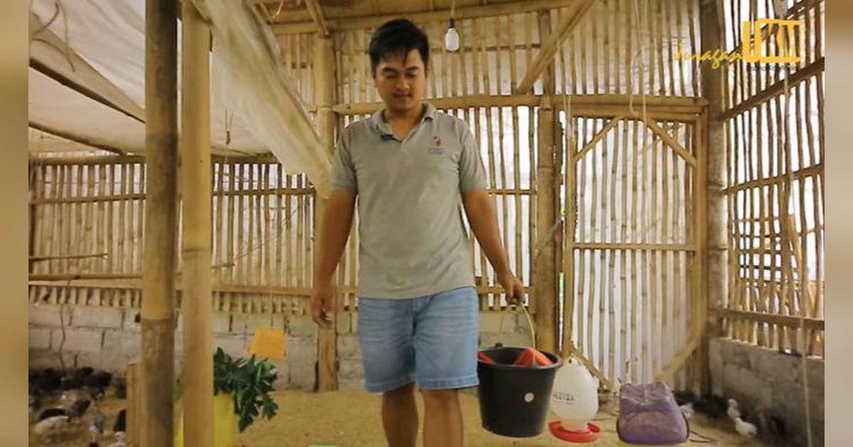 Dulu Susah, Pria Lulusan SMA Ini Sukses Beternak Ayam