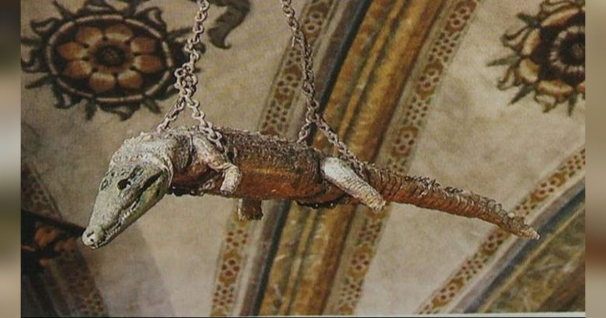 Unik, Gereja di Italia Ini Punya Buaya Berusia 500 Tahun Menggantung di Langit-Langit