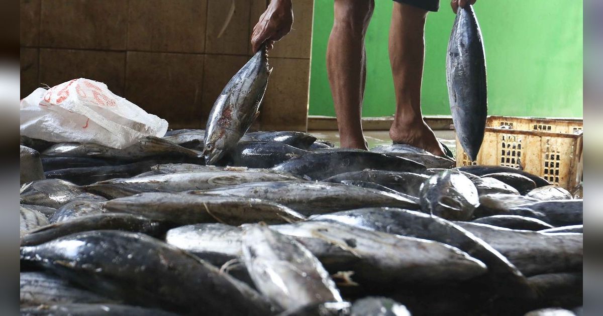Dulunya Pengemis dan Suka Mabuk, Pria ini Tobat Kini Bisnis Ikan Cakalang Omsetnya Puluhan Juta Rupiah