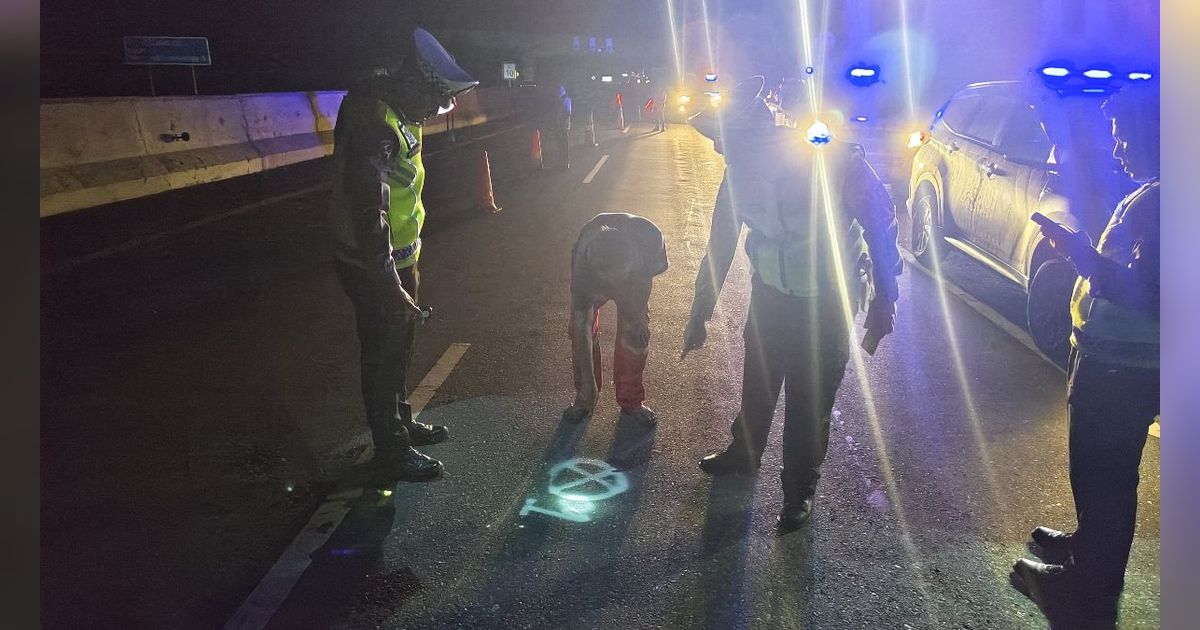 Toyota Hilux Tabrak Tronton di Tol Pekanbaru-Dumai, Ibu dan 2 Anak Tewas