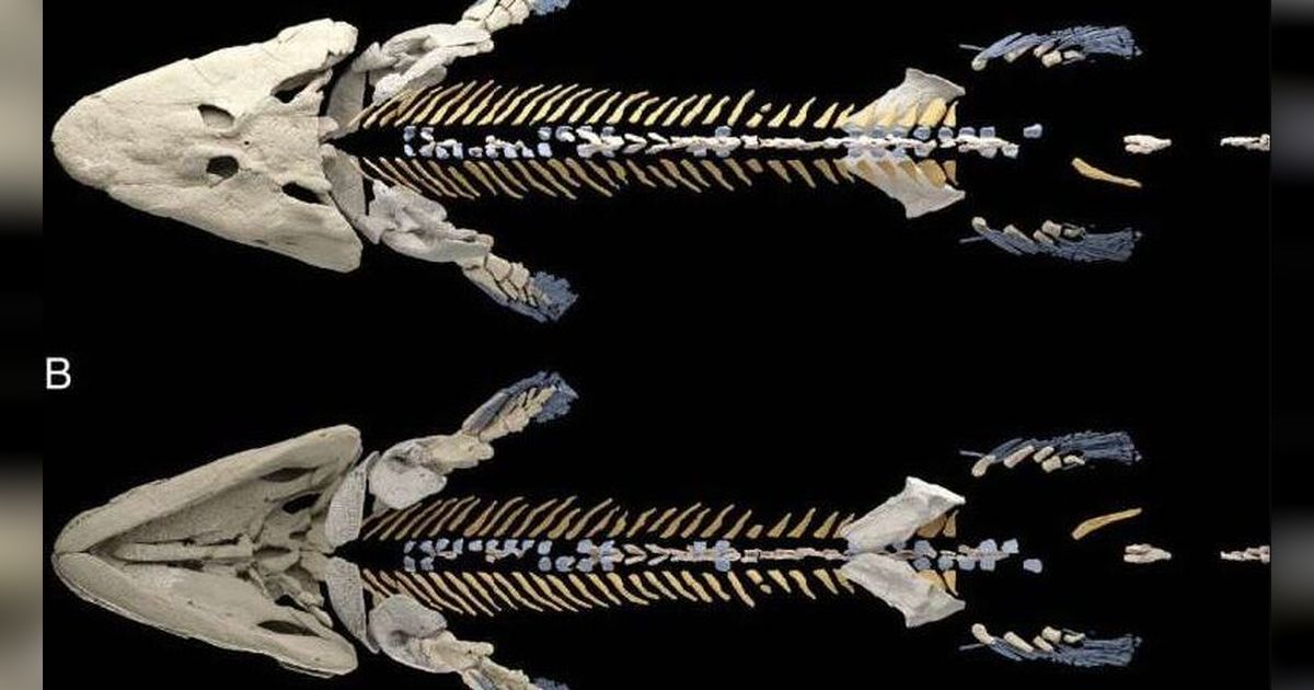 Ilmuwan Teliti Tulang Fosil Ikan Berusia 375 Juta Tahun, Temuannya Bikin Kaget