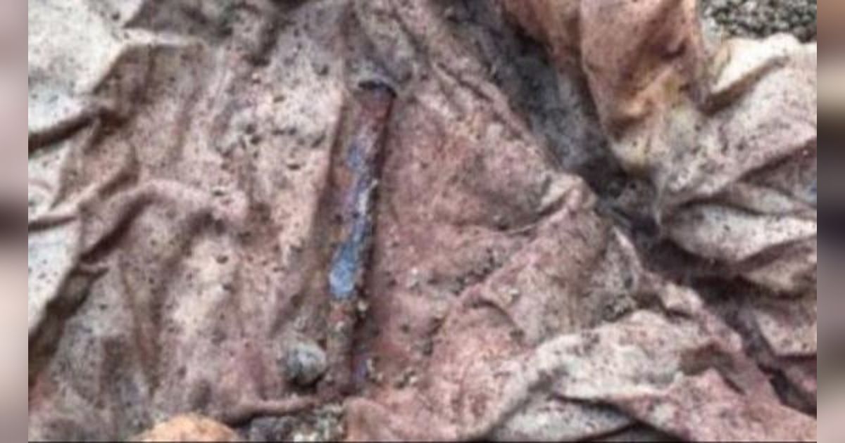 Kisah Seram Arsitek Lanskap Garap Halaman Pelanggan, Temukan Lipan Besar dan Bungkusan Berisi Tulang, Cerita di Baliknya Bikin Merinding