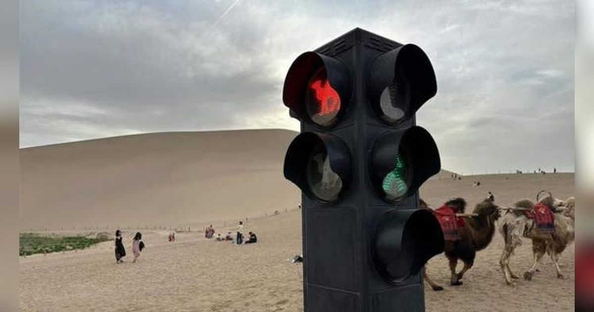 Saking Ramainya, Destinasi Wisata di Tengah Gunung Pasir ini Punya Lampu Lalu Lintas Khusus Unta
