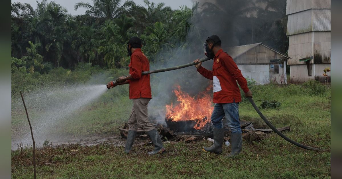 BRGM Ajak 6 Provinsi Belajar Restorasi Gambut di Desa Pandan Sejahtera Jambi