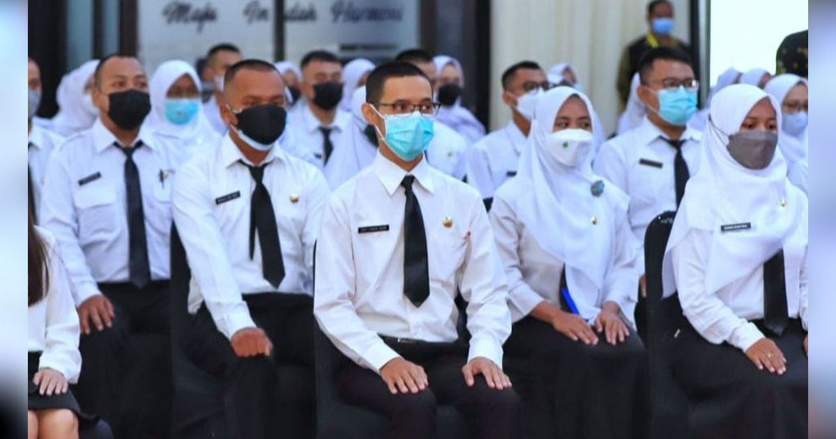 Daftar Sekolah Kedinasan yang Buka Seleksi CPNS Mulai 15 Mei 2024