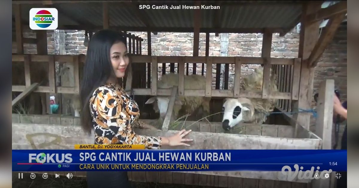 Mengapa Jual Hewan Kurban Pakai Jasa SPG? Ternyata Ini Rahasianya