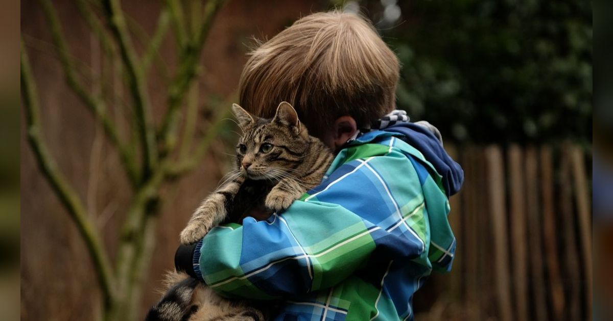 Manfaat Memelihara Kucing Bagi Anak, Melatih Rasa Empati