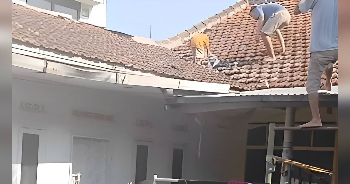 Bocah Ambil Layangan di Genteng Tak Bisa Turun, Bikin Geger Satu Kampung