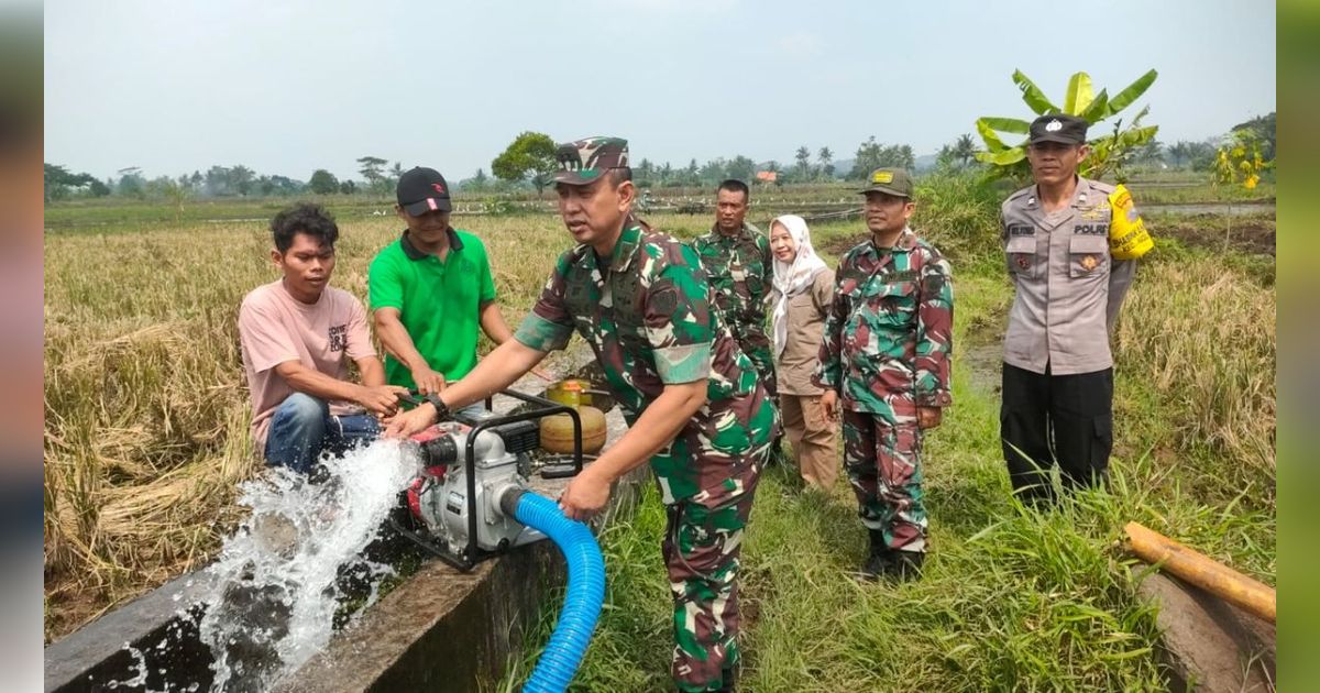 Satgas Pangan TNI Dukung Program Kementan Program Pompanisasi