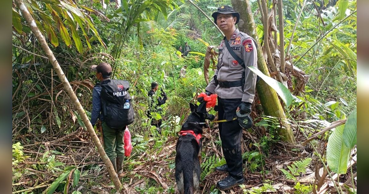 Pelaku Pemburuan Badak Jawa di Taman Nasional Ujung Kulon Ditangkap Tim K9 Ditpolsatwa