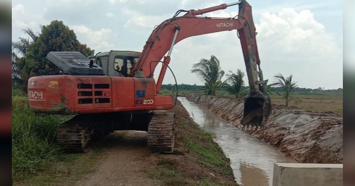 Genjot Produksi dan IP, Kementan Lakukan Opla Rawa 500 Ha di Aceh Utara