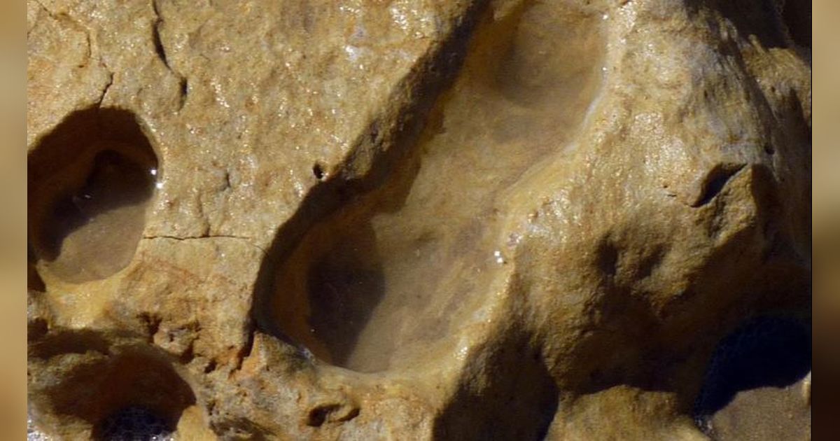 Ilmuwan Penasaran, Jejak Kaki Misterius Berusia 300.000 Tahun Ditemukan di Wilayah Tebing Andalusia