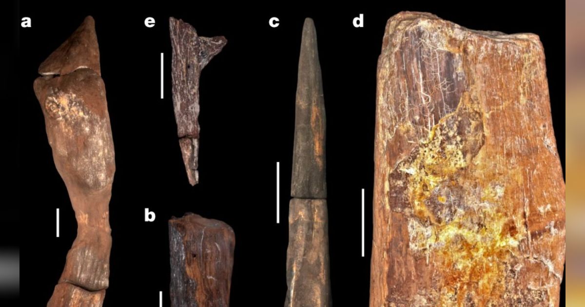Ilmuwan Temukan Artefak Berusia 500.000 Tahun, Menunjukkan Manusia Purba yang Lebih Canggih