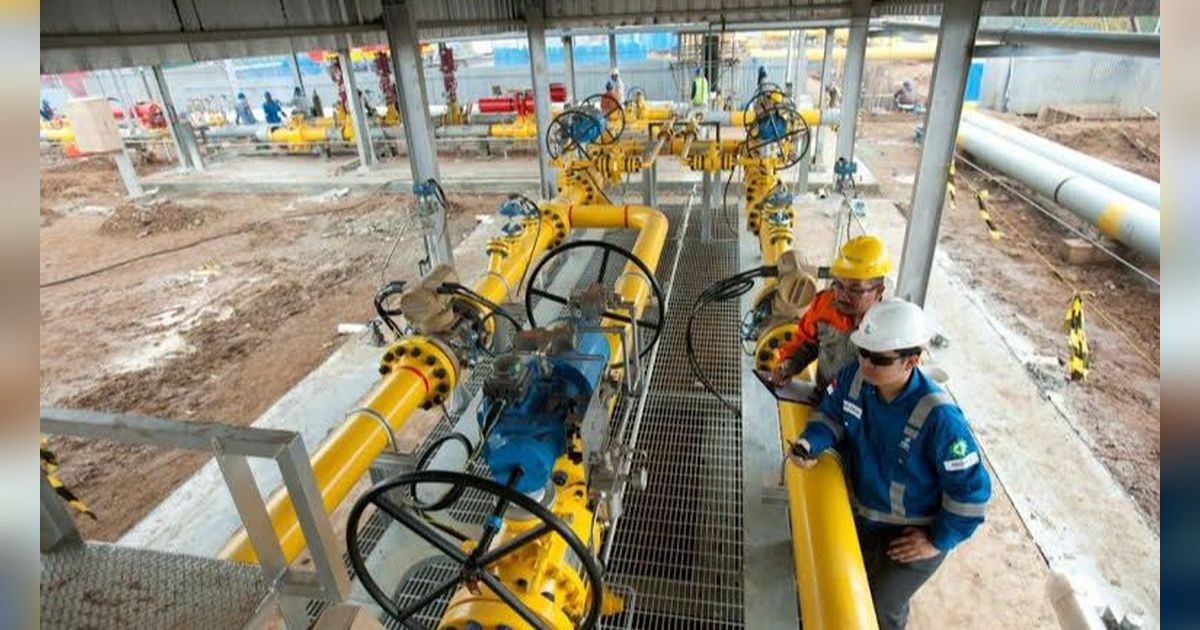 Terungkap, Begini Strategi Dijalankan PGN Optimalisasi Pemanfaatan Gas Bumi di Masa Transisi Energi