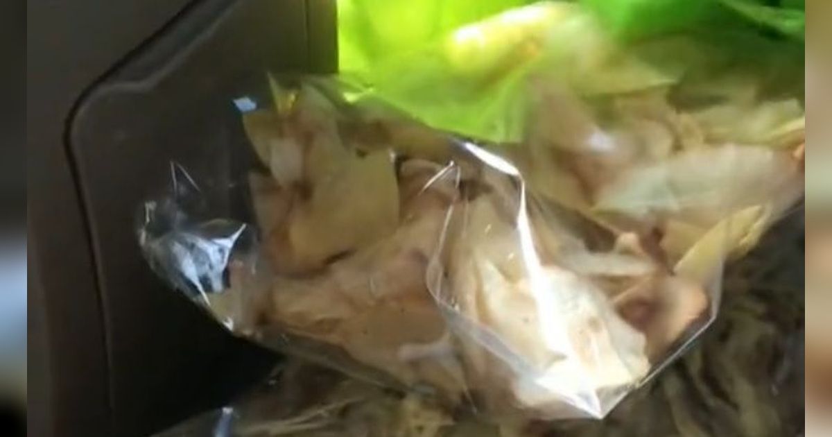 Viral Ibu Bawa Bekal Seabrek saat Antar Anaknya UTBK, Curi Perhatian