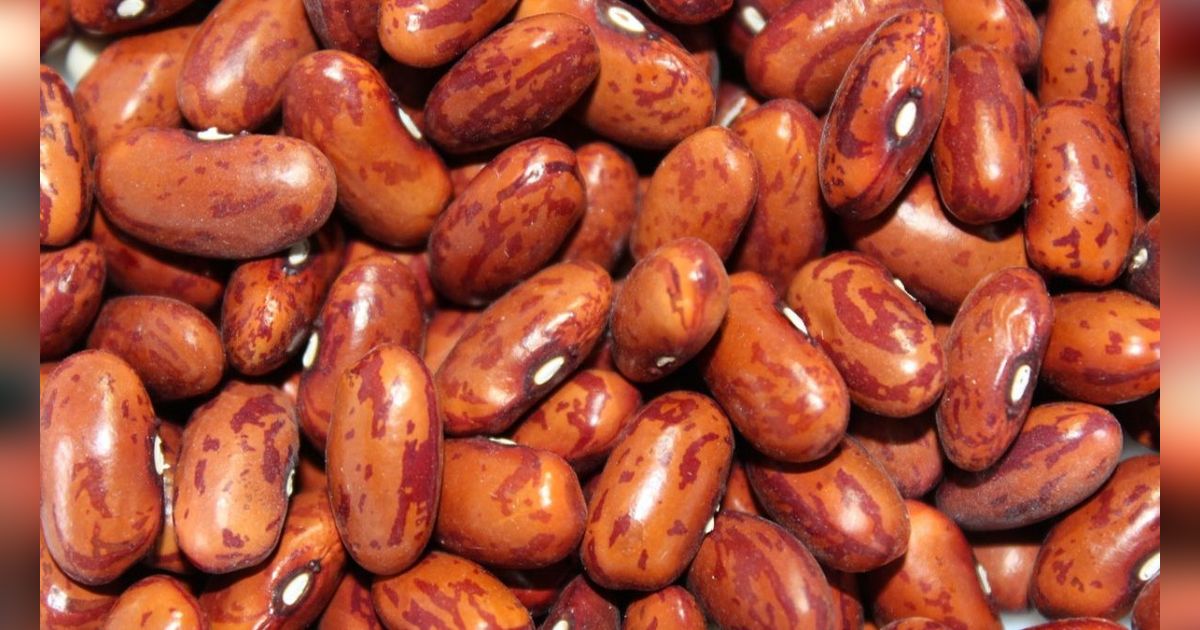6 Manfaat Kacang Merah untuk Ibu Hamil, Efek Mengontrol Tekanan Darah