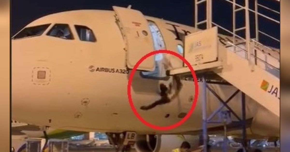 Ngeri Banget! Video Detik-Detik Petugas Bandara Jatuh dari Pintu Pesawat