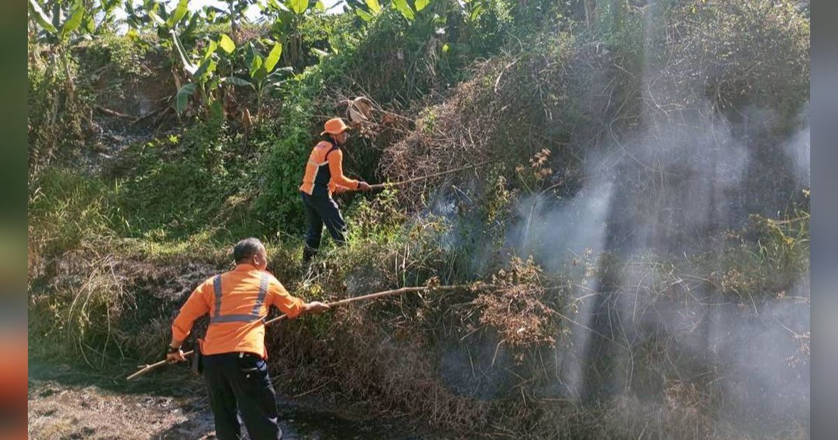 Dianggap Sepele, Kebiasaan Bakar Sampah Dekat Jalur Rel Ternyata Membahayakan Keselamatan Perjalanan KA