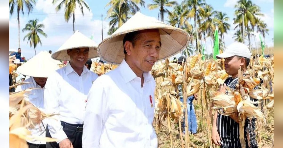 Presiden Tak Mau Harga Telur hingga Beras Terlalu Murah