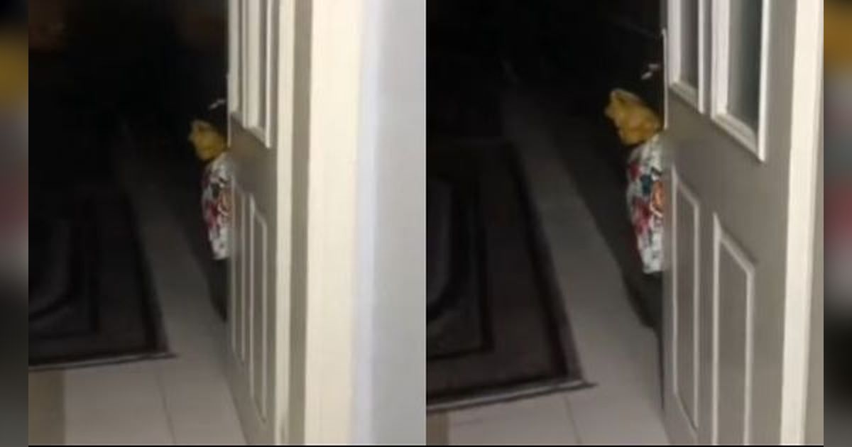 Awalnya Bikin Deg-degan, Langsung Lega Ketika Melihat Penampakan Horor di Balik Pintu Ini dari Dekat