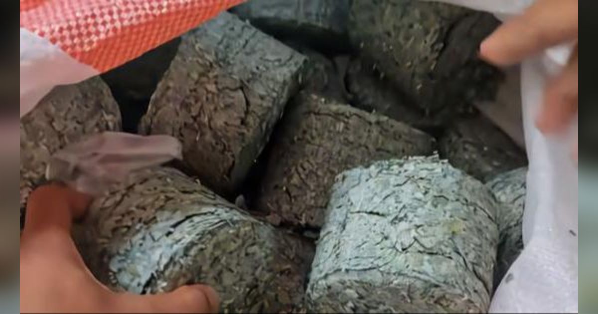 Viral! Penampakan Sampah Uang Kertas dalam Karung Bernilai Rp1,5 Miliar Dibuang Begitu Saja