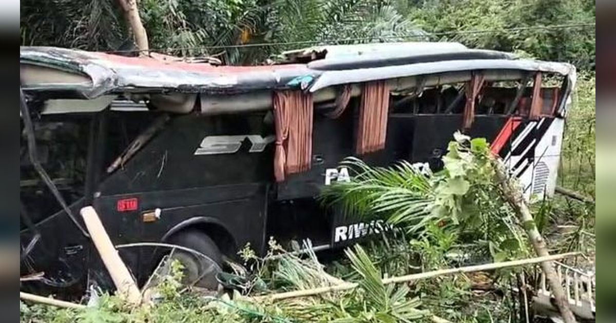 Terjadi Lagi! Bus Rombongan MIN 1 Pesisir Barat Terjun ke Jurang di Lampung, 6 Orang Terluka