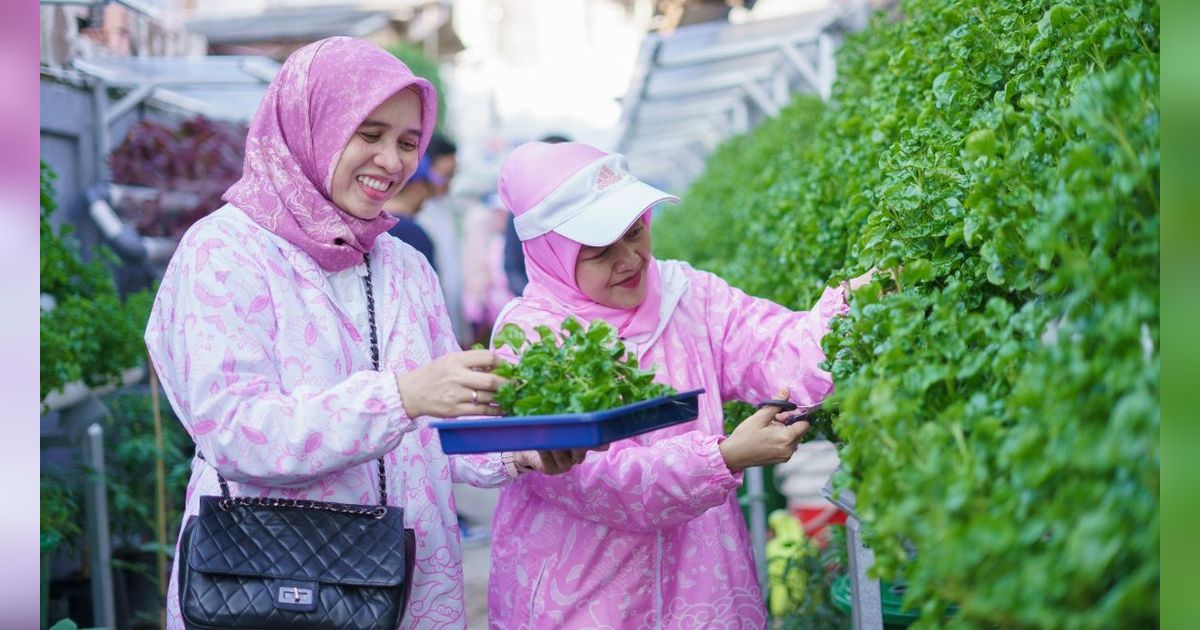 BRInita, Kelompok Dasawisma Pisang di Palembang Sulap TPS Liar Jadi Urban Farming Bernilai Ekonomis