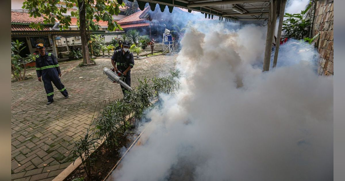 Pakar Ungkap Vaksin Dengue Mampu Lindungi Diri dari DBD