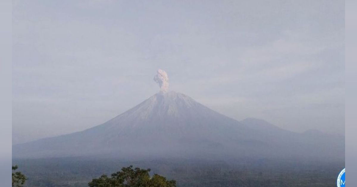 Gunung Semeru Erupsi Enam Kali Sejak Jumat Dini Hari, Tinggi Kolom Abu Capai 900 Meter