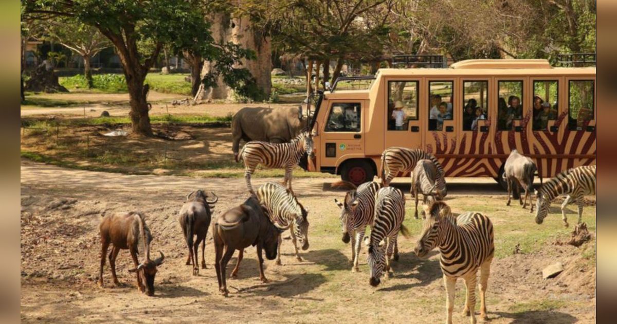 Inilah Pendiri dan Pemilik Taman Safari Indonesia, Terima Penghargaan sebagai Bapak Konservasi