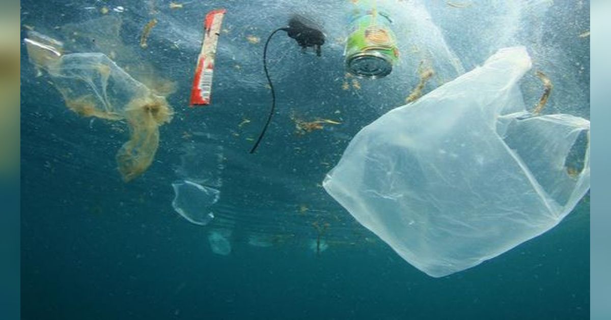 Awas Bahaya Plastik Bagi Kesehatan, Ternyata Miliki Dampak Serius Bagi Tubuh