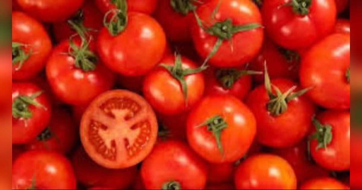 Cara Simpan Tomat Tanpa Kulkas Agar Tetap Segar dan Tahan hingga 1 Bulan