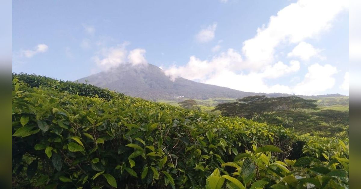 Gunung Api Dempo Pagaralam Erupsi Lagi, Semburkan Abu Sejauh 300 M