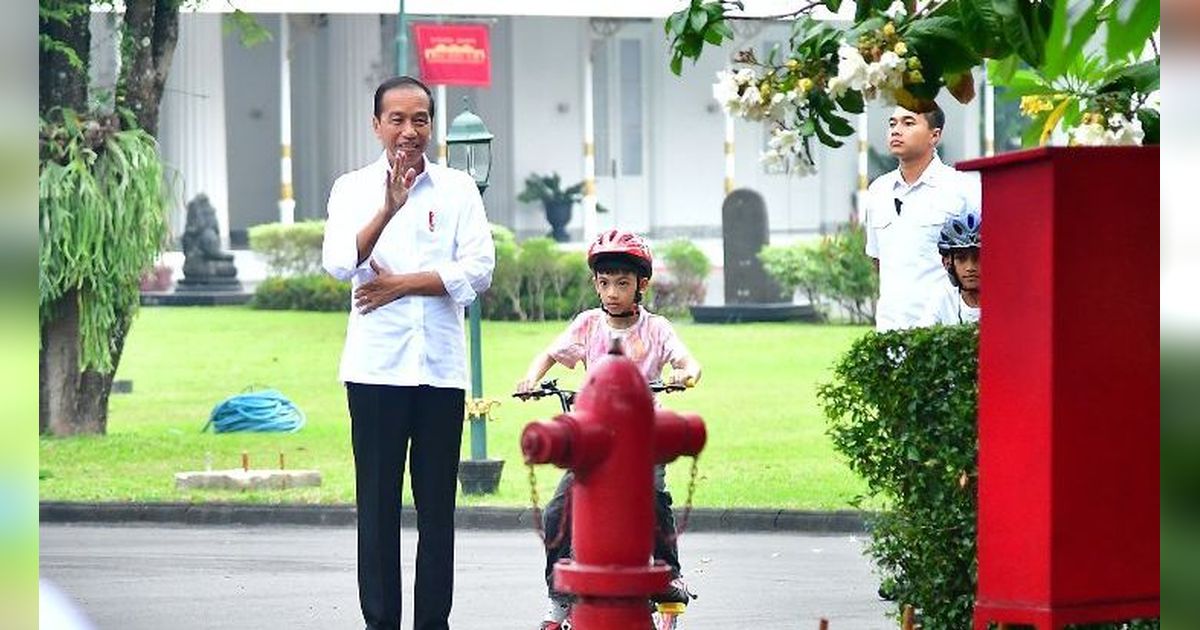 Jokowi akan Bertemu Sekjen OECD Hari Ini, Bahas Apa?
