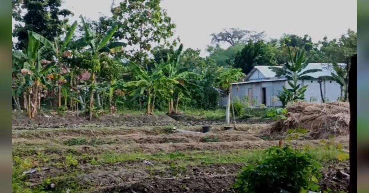 Tersembunyi di Tengah Sawah Pinggir Kuburan, ‘Warung’ Karaoke Ini adalah Warisan Tak Biasa dari Mbah Bo di Nganjuk