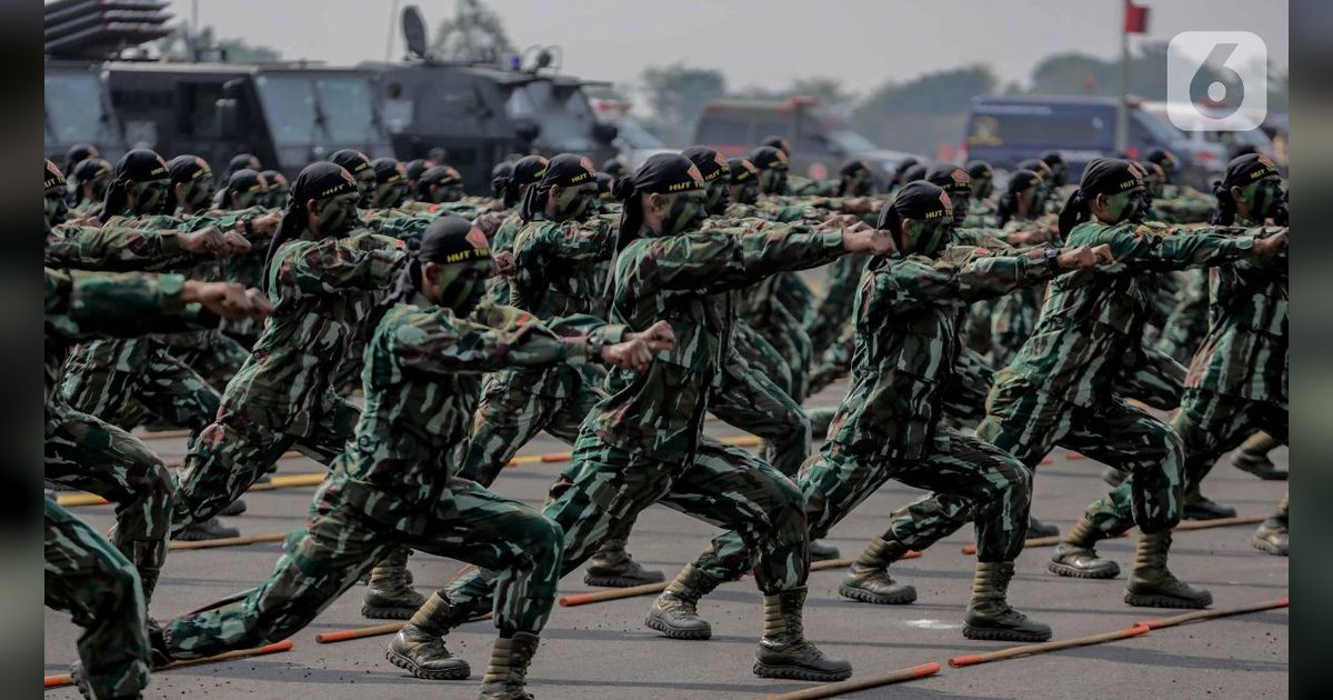 Revisi UU TNI: Batas Usia Pensiun Prajurit Diperpanjang Jadi 60-65 Tahun