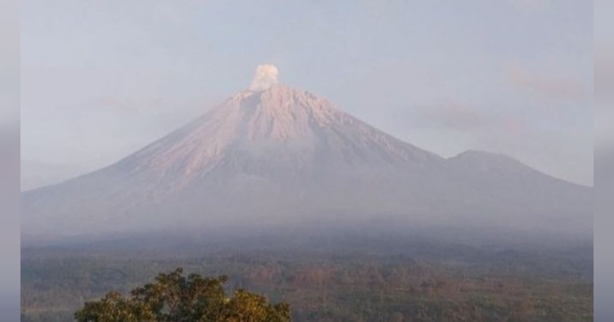 Gunung Semeru Kembali Erupsi, Lontarkan Abu Vulkanik Setinggi 500 Meter