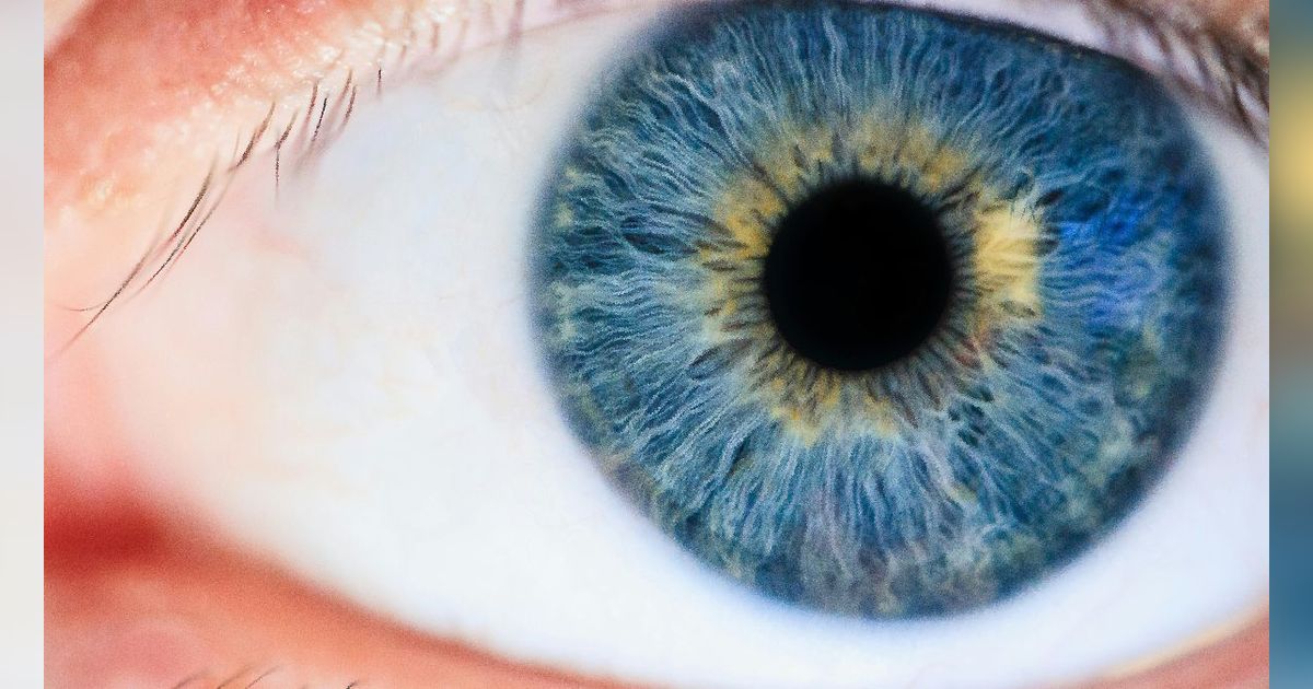 Apakah Mata Biru Dapat Melihat Lebih Jelas di Dalam Gelap? Ini Jawaban Ilmuwan