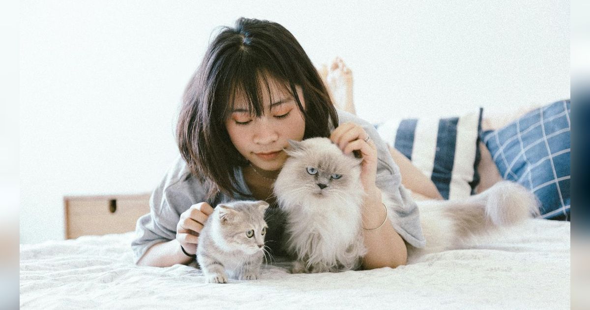 50 Kata-Kata Islami tentang Kucing, Sarat Makna dan Kebijaksanaan