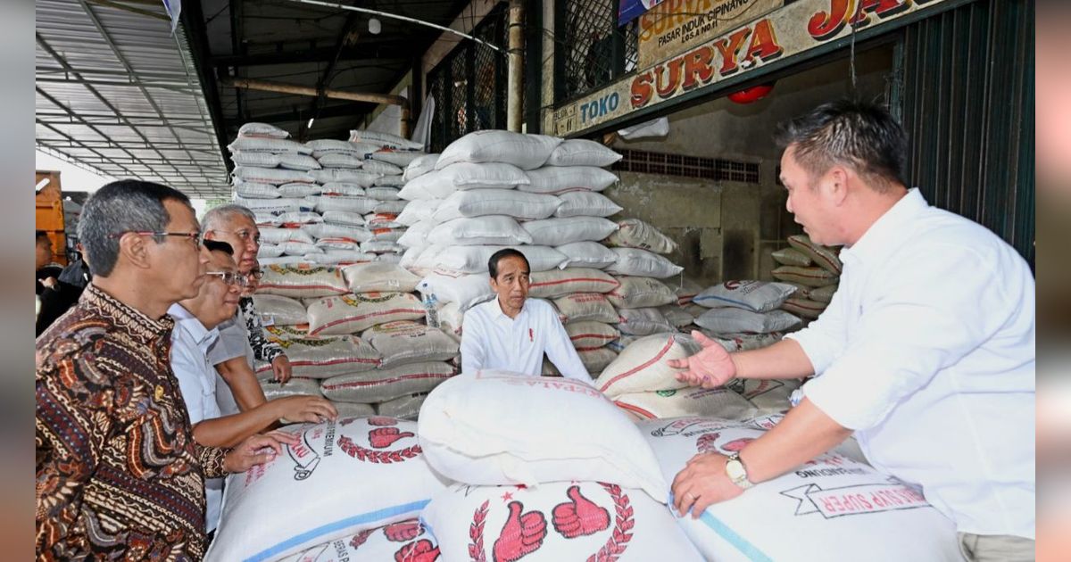 Stok Beras Bulog Capai 1,63 Juta Ton, Tertinggi dalam Empat Tahun Terakhir